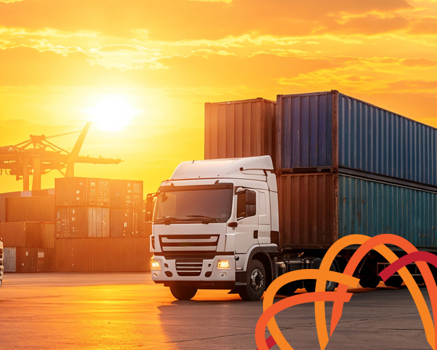 T4S Parques
